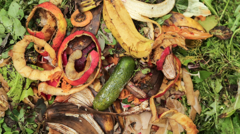 The $1,500 Problem: What 10,000 Users Taught Us About Food Waste